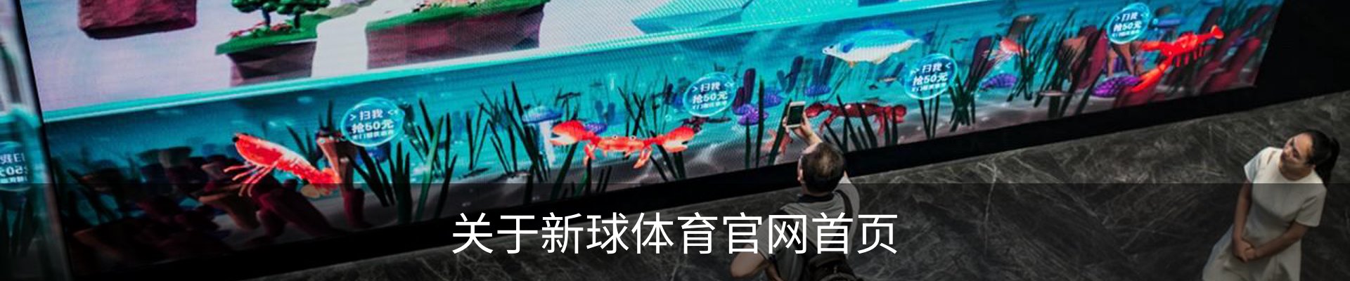关于新球体育官网首页