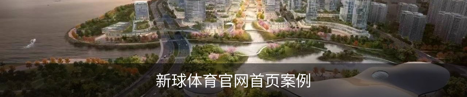 新球体育官网首页案例